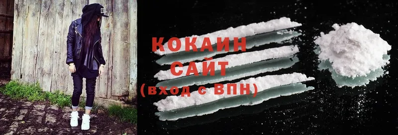 КОКАИН Fish Scale  гидра маркетплейс  маркетплейс какой сайт  как найти закладки  Бабаево 